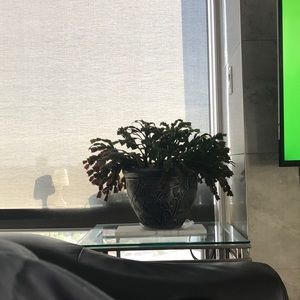 Meet your Posher, Marisa